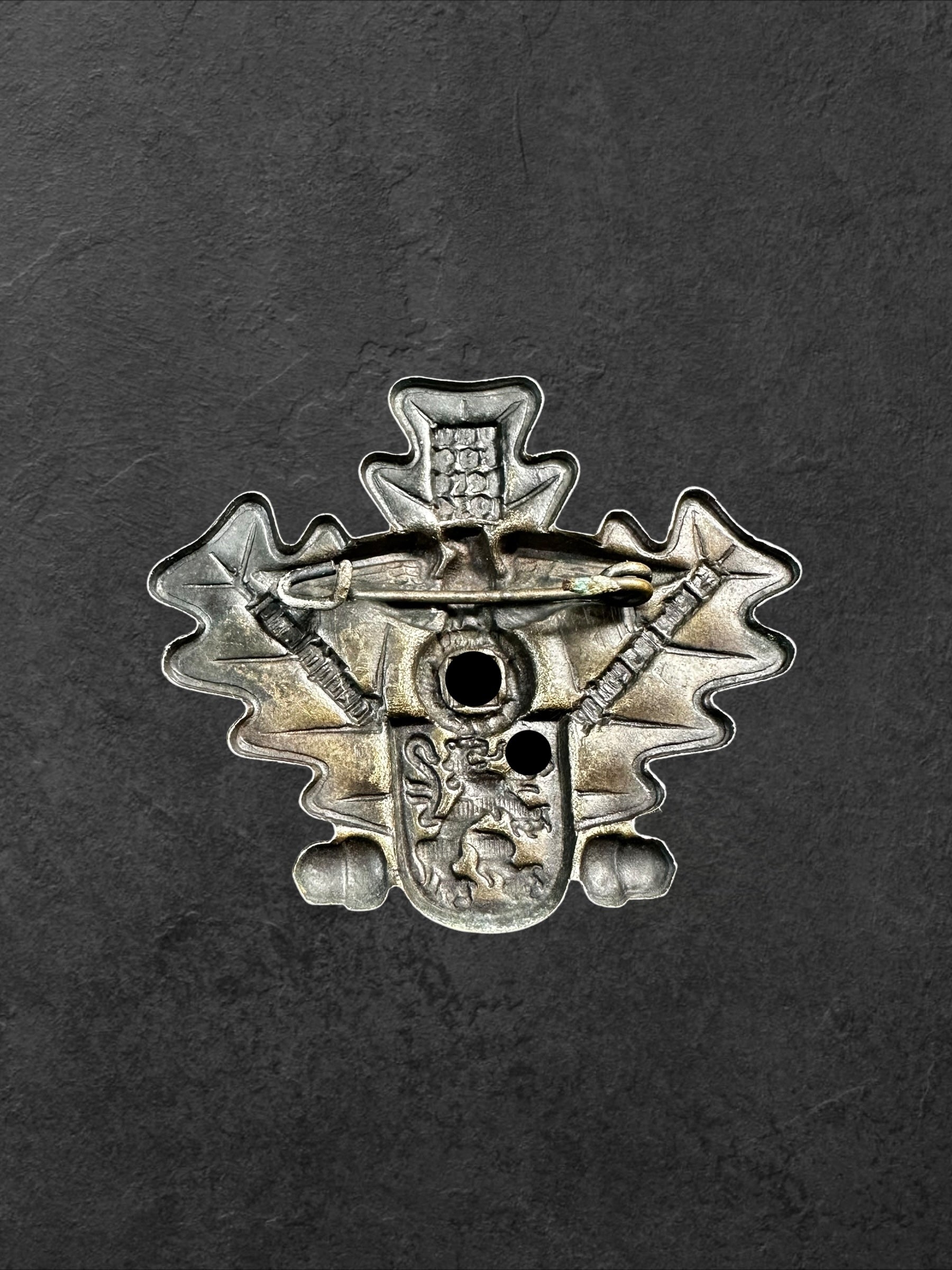 NSDAP Gautag Gera 1934 Teilnehmerabzeichen