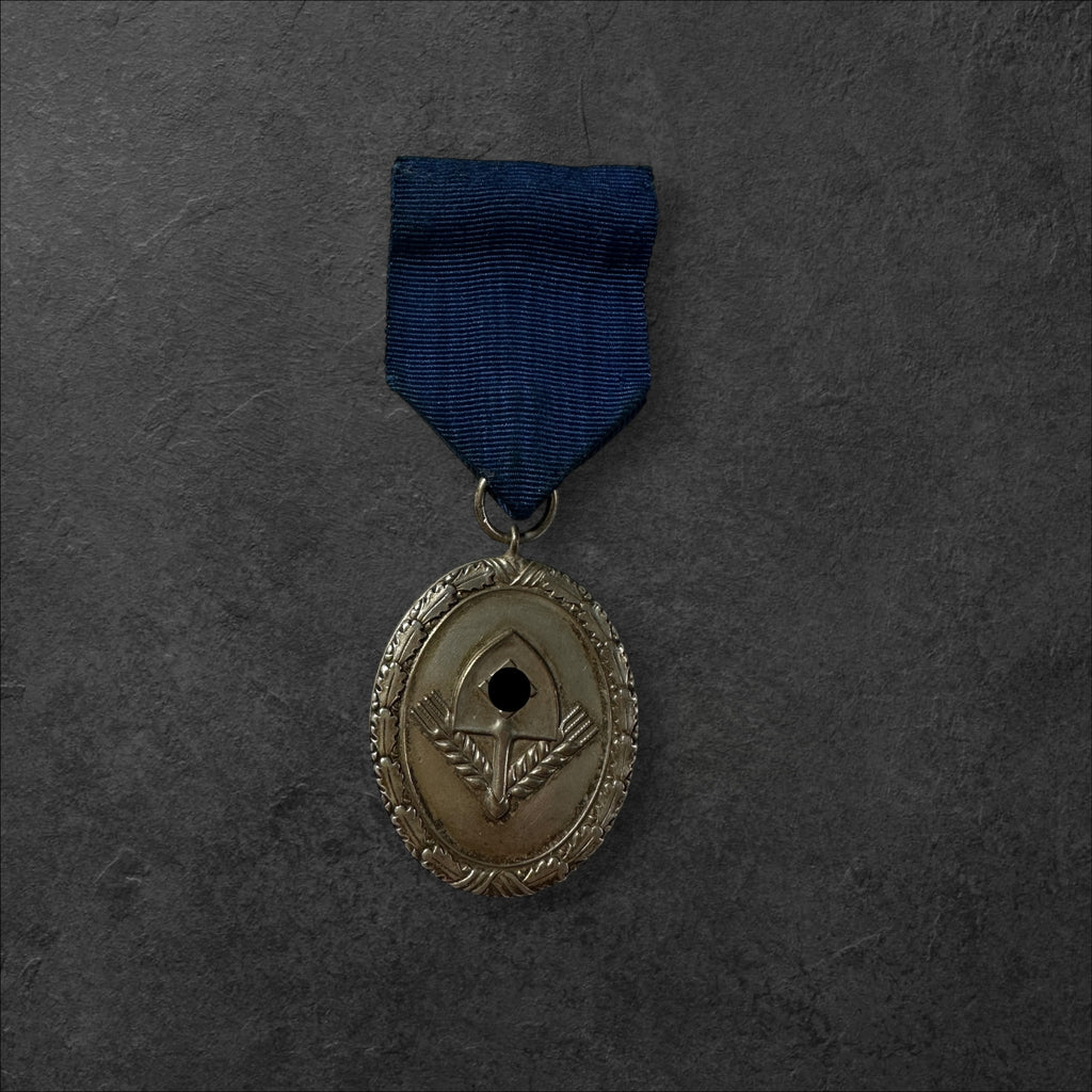 Reichsarbeitsdienst(RAD) Dienstauszeichnung 3.Stufe in Silber