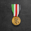 Deutsch-Italienische Feldzugsmedaille