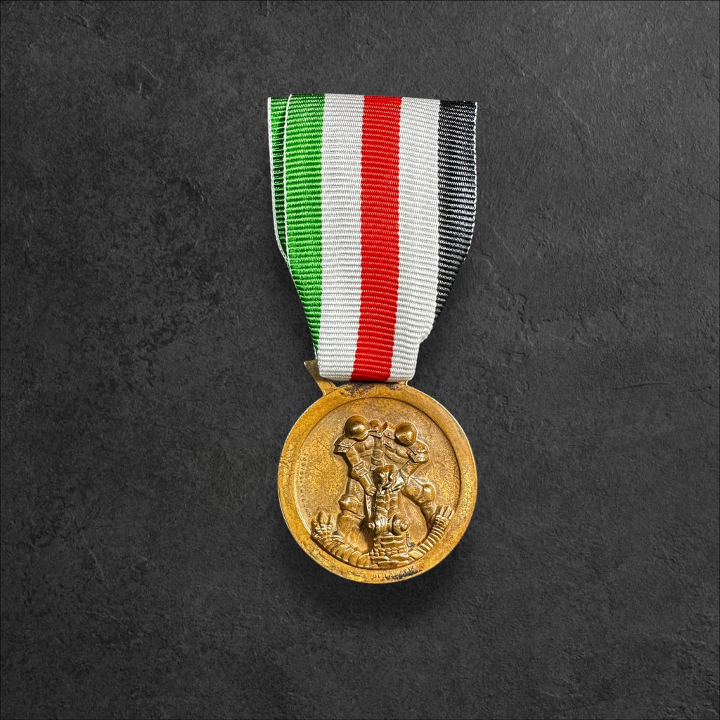 Deutsch-Italienische Feldzugsmedaille