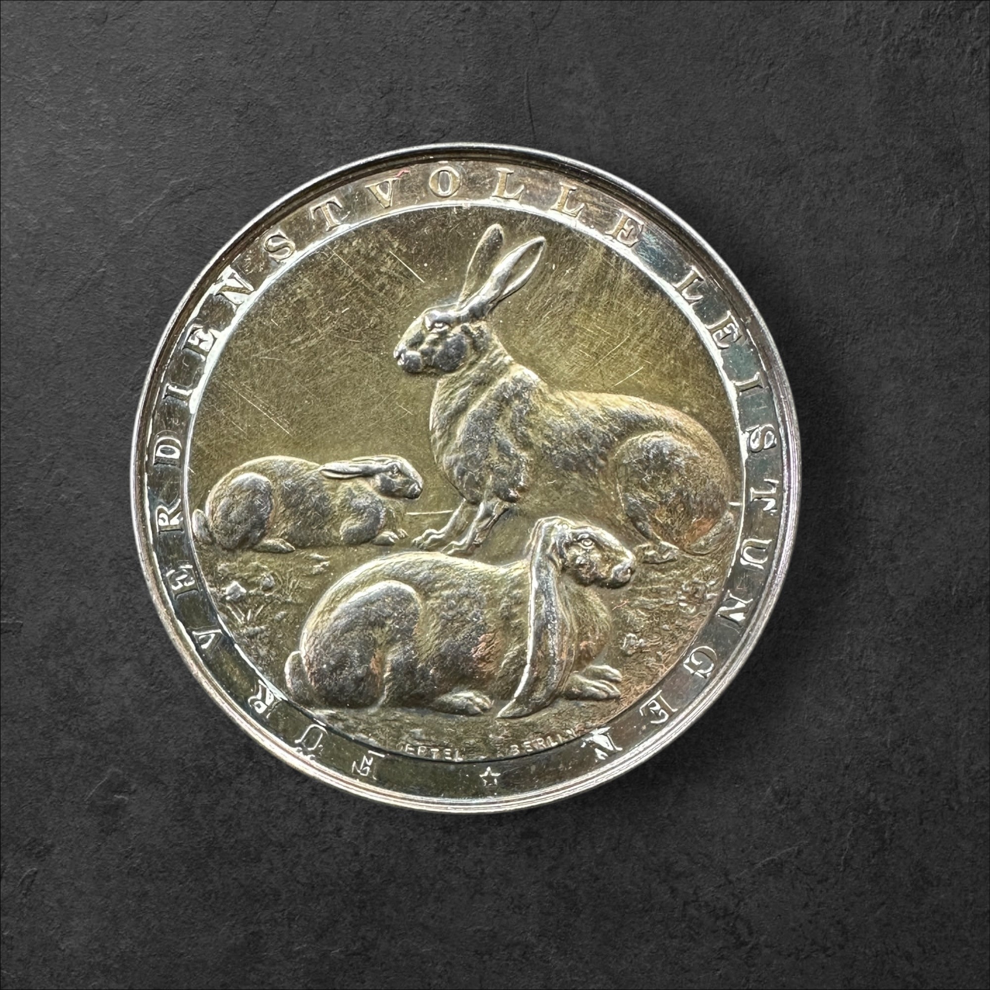 Silbermedaille für verdienstvolle Leistungen