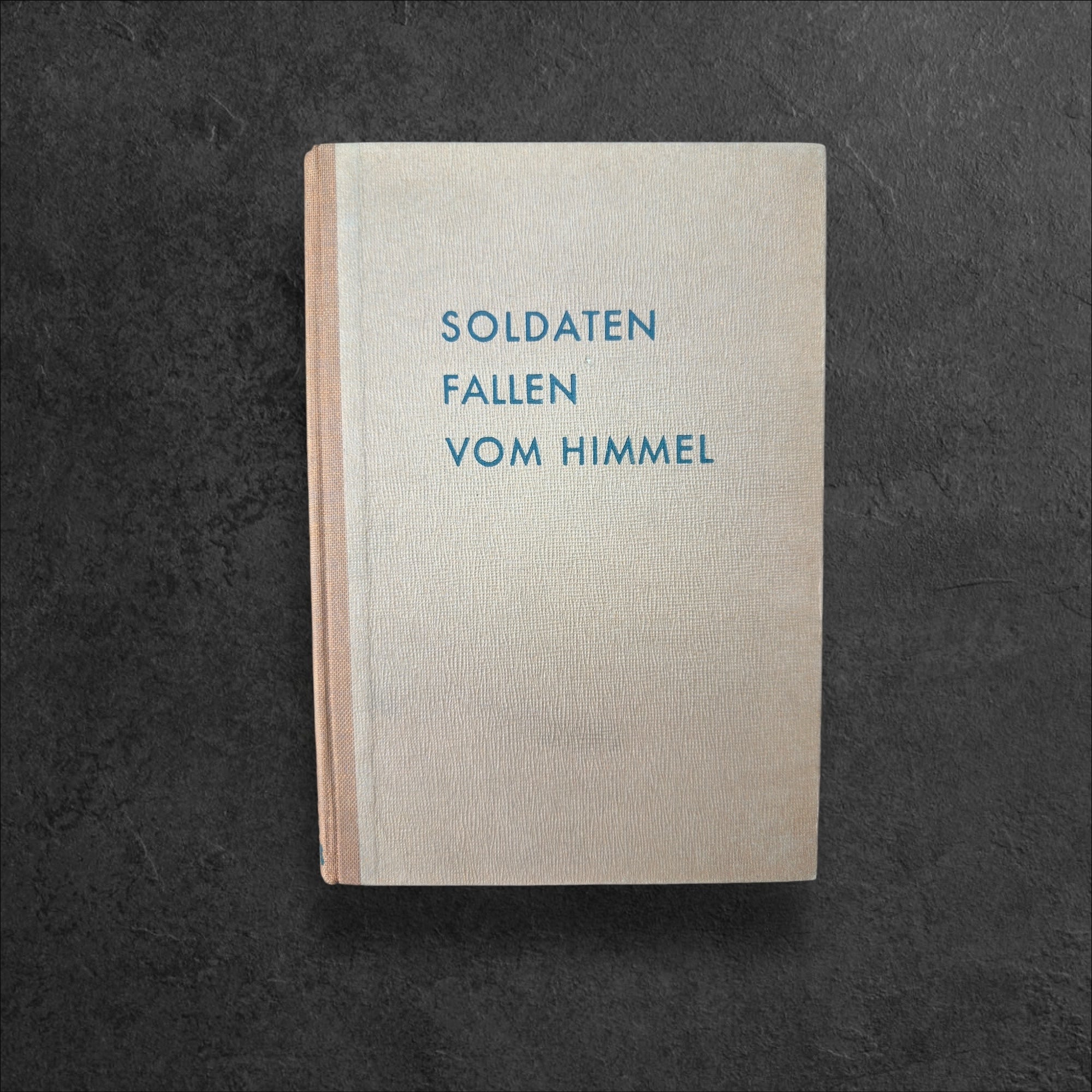 Buch "Soldaten fallen vom Himmel"